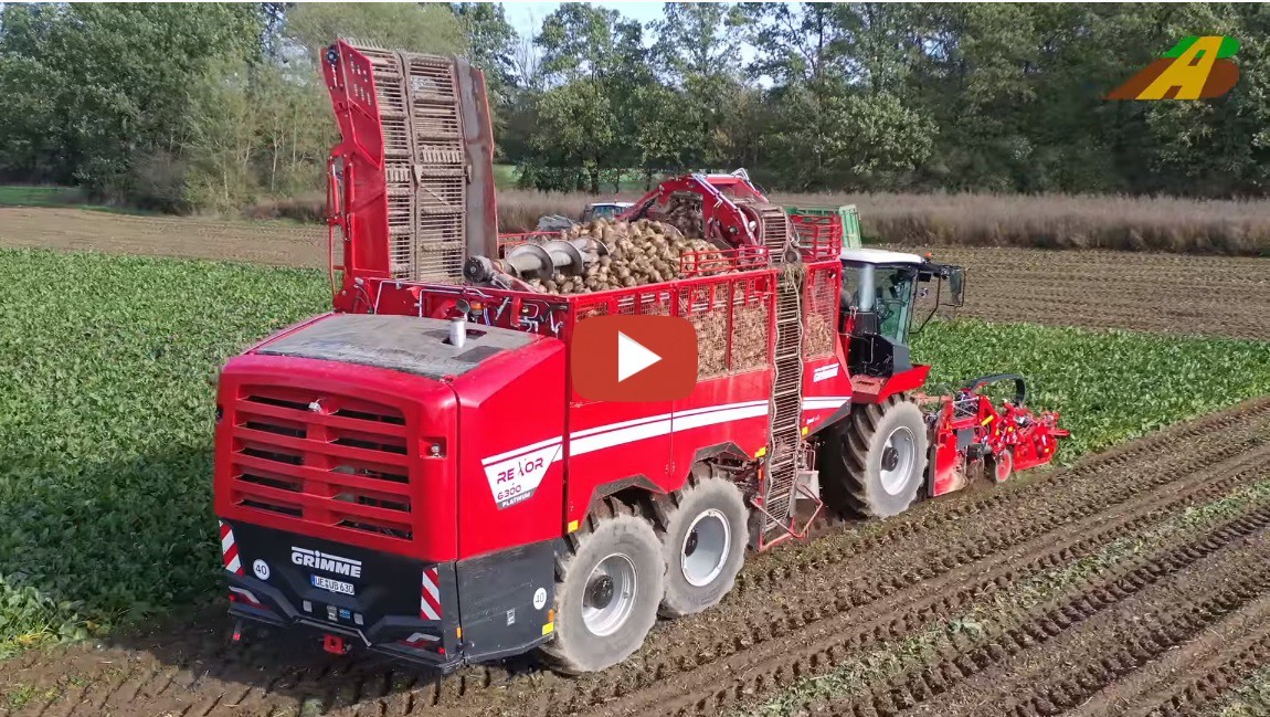 AgrarBlick Rüben roden Der Rübenroder Rexor 6300 mit dem FM 300 6