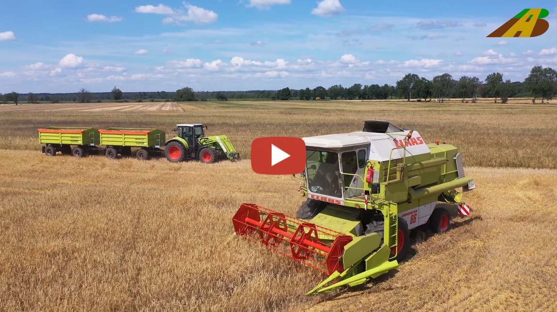 AgrarBlick Getreideernte 2019 Mit Einem Claas Dominator Typ 86 5