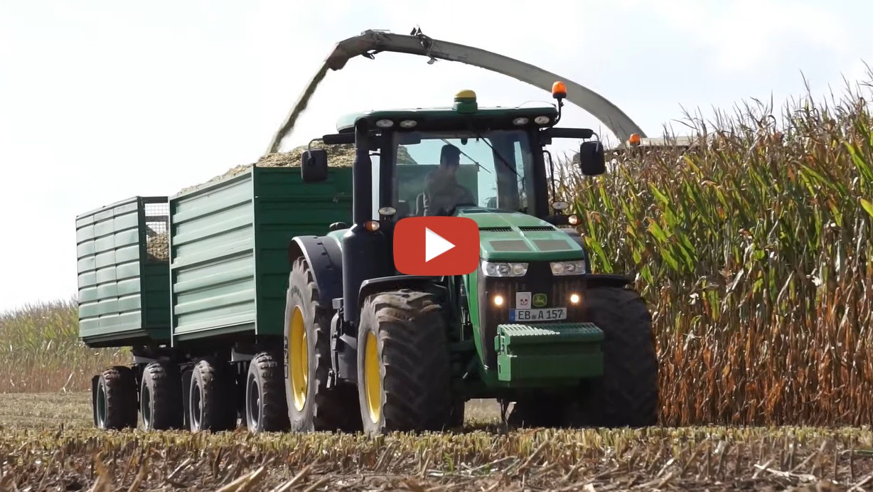 Lu Blunk Maisernte Mit Claas Jaguar Steyr John Deere Und