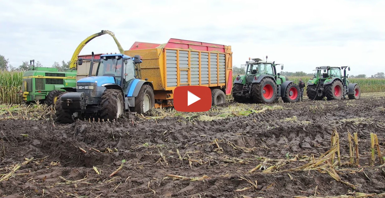 Maisernte Im Schlamm 2021 Mit LU Floor Und Molenaar Mit John Deere