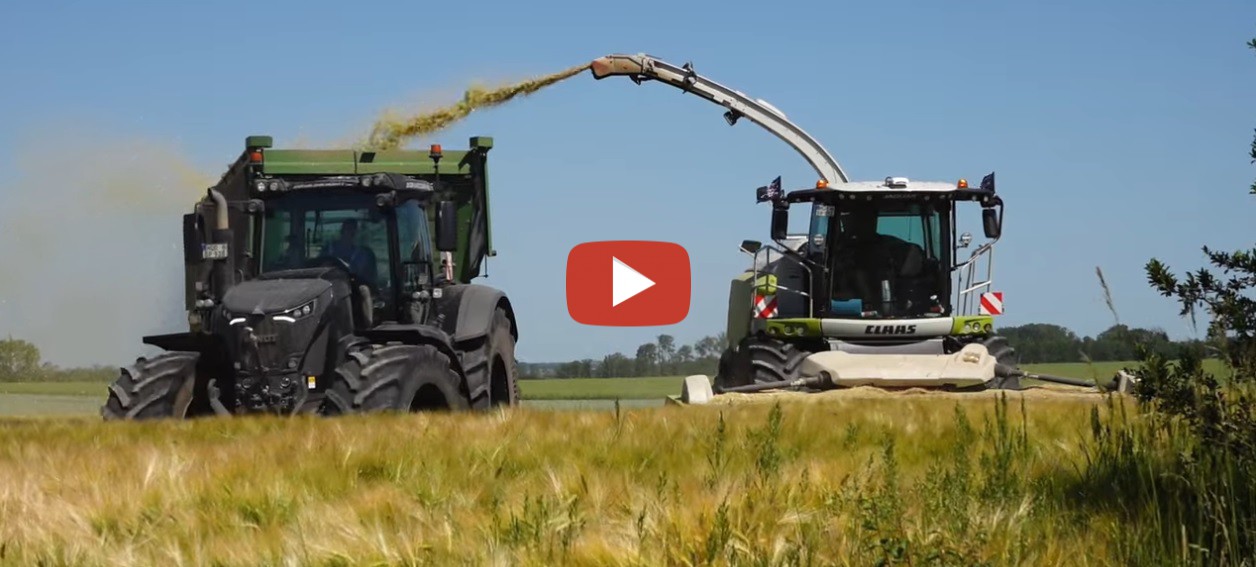 Agrarlohn Müritz bei der Ganzpflanzensilage 2023 mit einem Claas