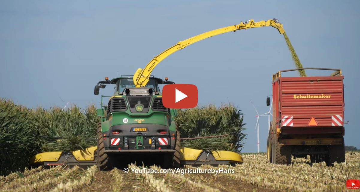 Maishäckseln 2023 mit einem John Deere 9900i mit 12 reihigem Kemper 490