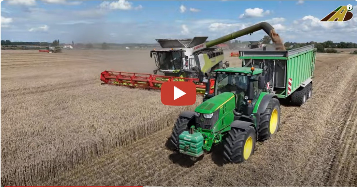 AgrarBlick Gut Hohen Luckow Weizenernte 2023 Im Video Sind 3 Claas