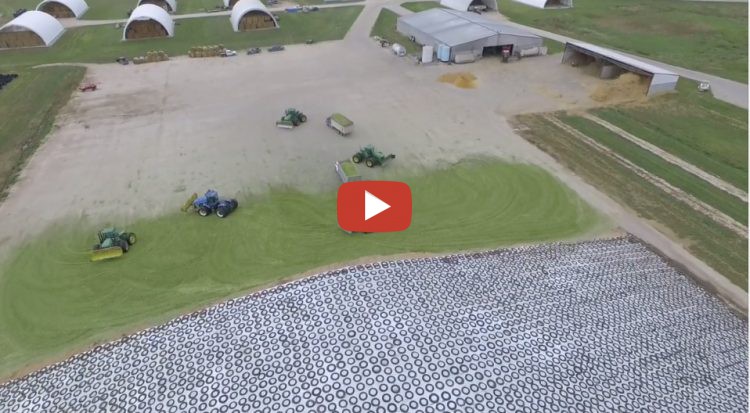 Butler County Dairy Maisssilage Nebraska USA.... Claas, John Deere und