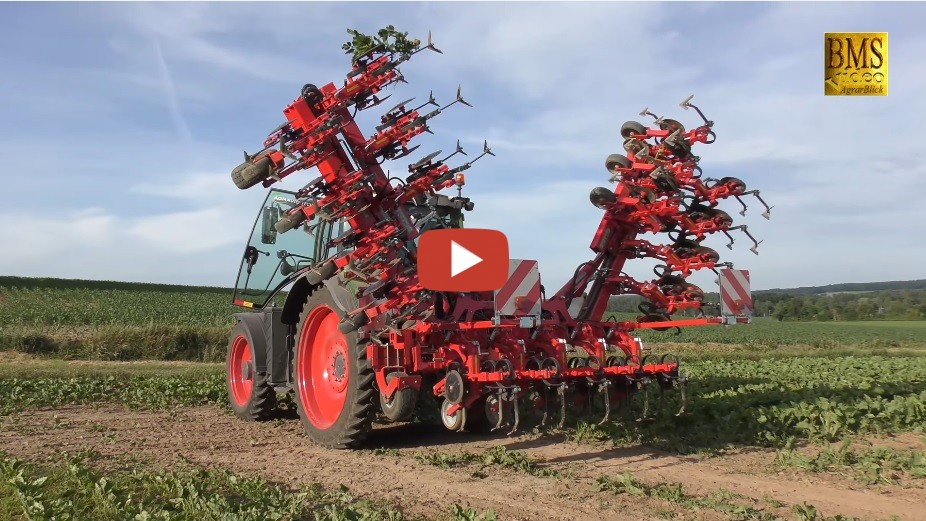 IDEAL Profi Rübenhacke - Dänische Unkrauthacke 140 Cm Mit Wechselmesser