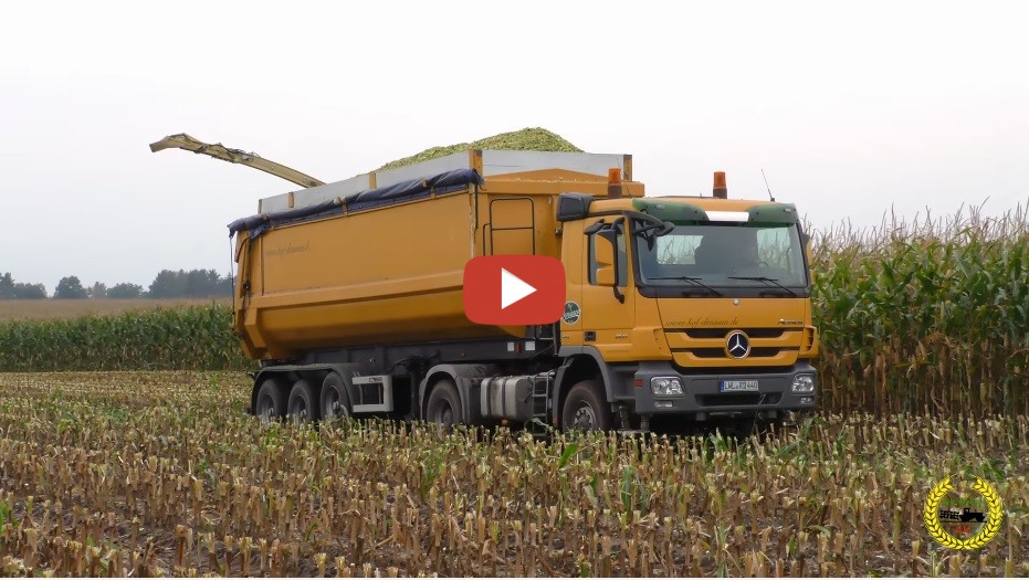 Agrar Paparazzi.....Maisernte 2017 bei Hof Denissen. Krone Big X 630