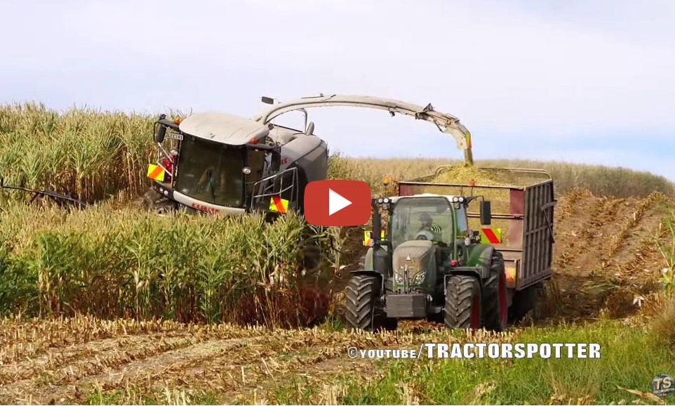 Tractor Spotter In Neuseeland Maisernte 2019 Mit Claas Jaguar