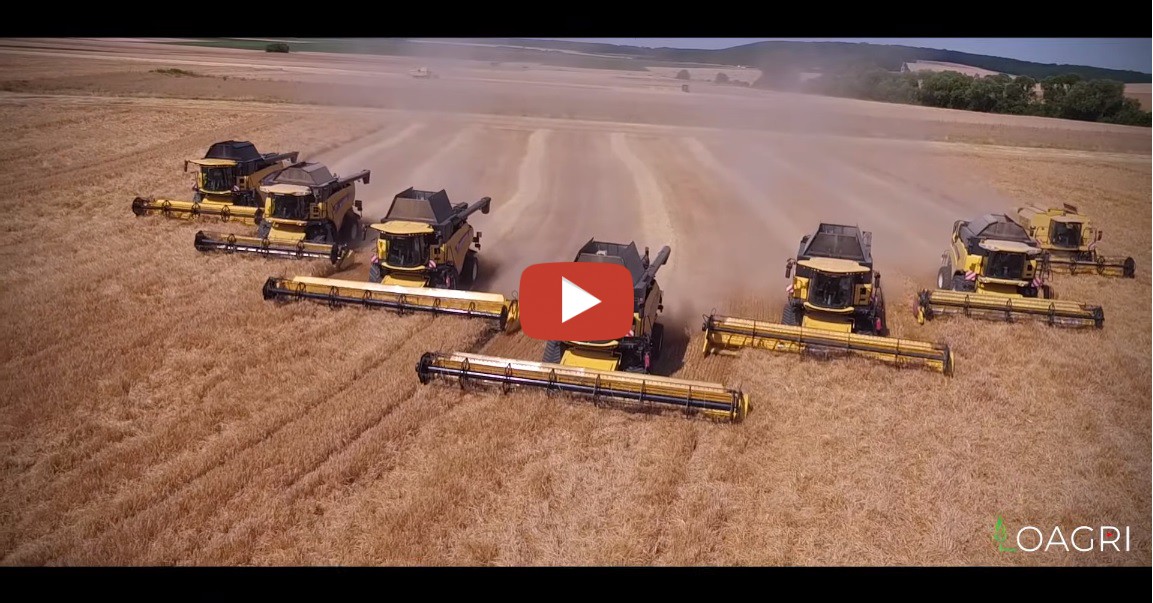 Ernte XXL New Holland -- LOAGRI