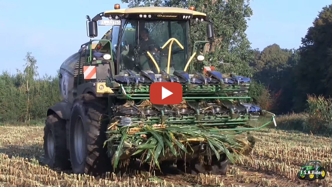 2019 – LU. Janssen KG Rhede/Ems Maisernte mit Krone BIG X 1180. – Fendt ...
