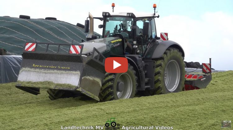 Agrarservice R gen Bei Der Ganzpflanzensilage 2021 Mit Einem Claas 980 
