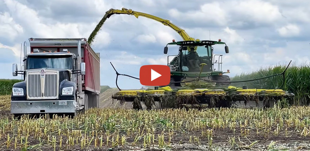 Maisernte 2022 in den USA Stone Ridge Dairy in Central Illinois